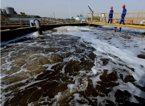 (圖:動(dòng)物屠宰廢水泡沫現場(chǎng))