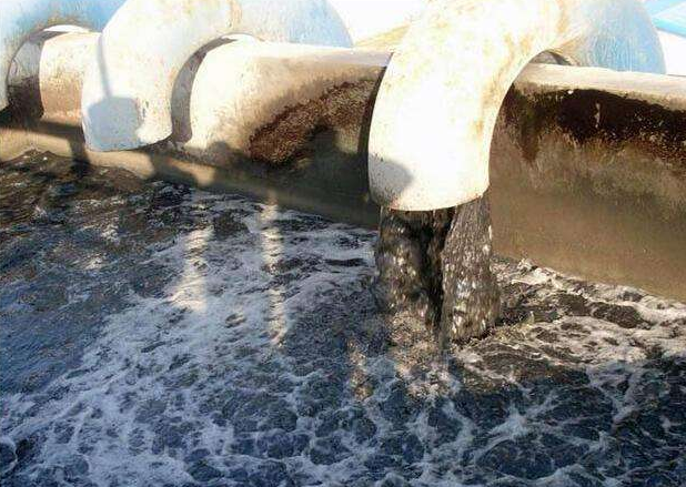 （圖：養殖場(chǎng)污水泡沫處理池）