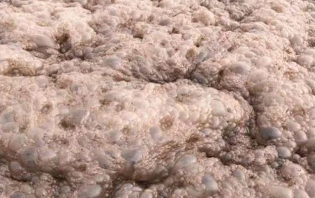 （圖：垃圾填埋場(chǎng)污水泡沫）