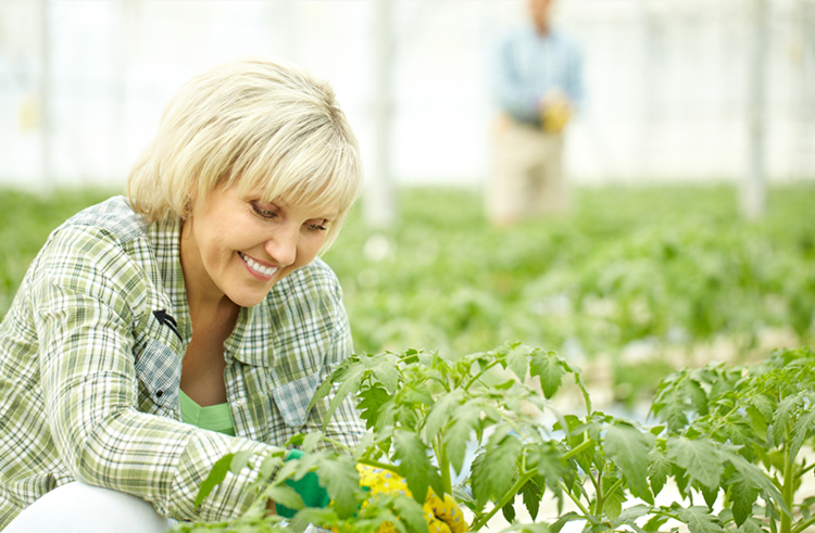 （圖：南輝消泡劑廠(chǎng)家除草劑消泡劑運用）