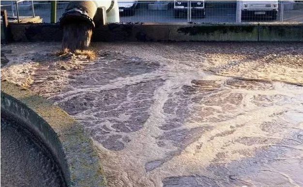 （圖：南輝造紙客戶(hù)廢水泡沫池起泡現場(chǎng)）