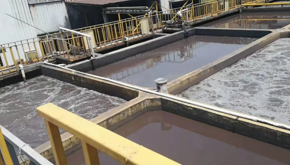 (圖:生化污水曝氣池處理現場(chǎng))