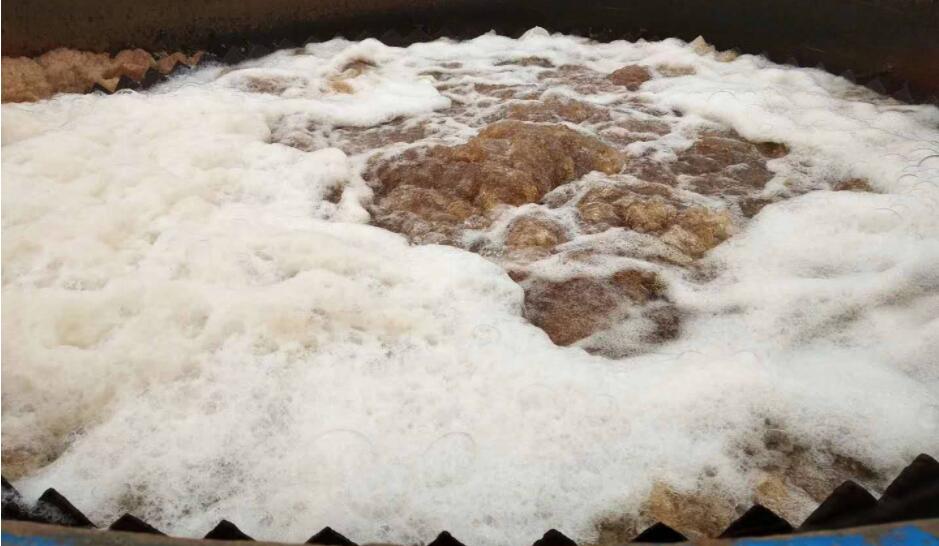 (圖:污水處理廠(chǎng)出水有白色泡沫)