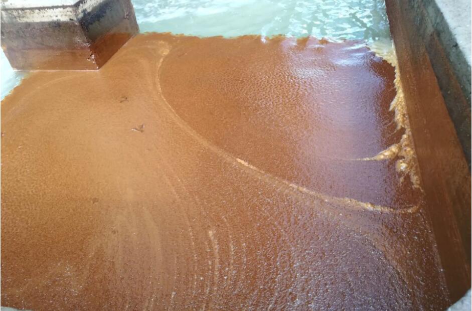 (圖:南輝水處理消泡劑應用)