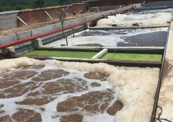 (圖:南輝水處理消泡劑應用)