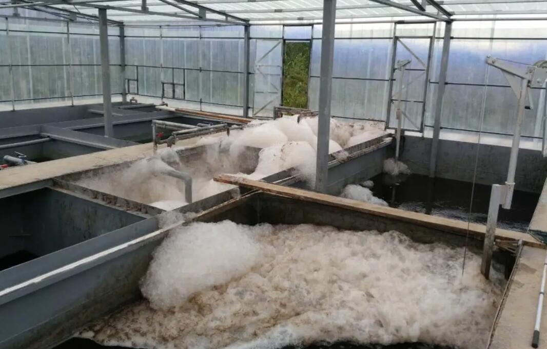 (圖:南輝聚醚水處理消泡劑應用)