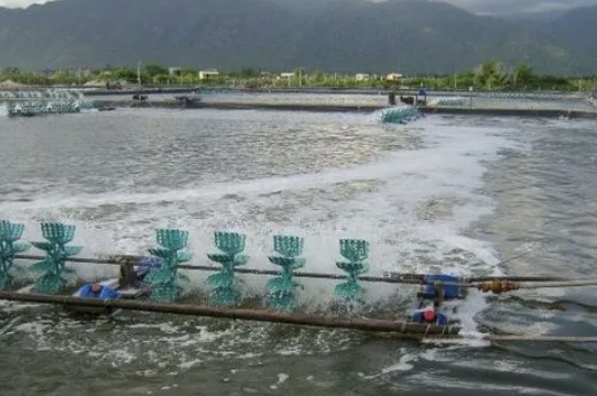 養殖水處理消泡