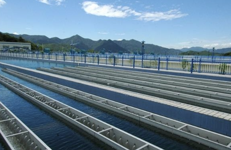 （生物水處理消泡劑應用場(chǎng)景）