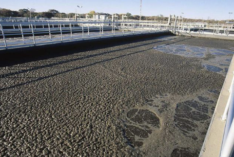 （微生物水處理消泡劑應用場(chǎng)景）