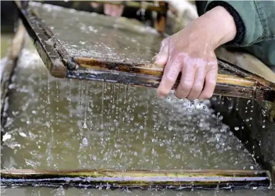 （制漿洗漿消泡劑應用場(chǎng)景） 