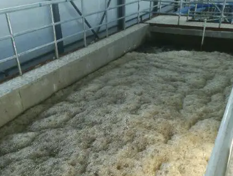 （制漿黑液有機硅消泡劑應用場(chǎng)景）